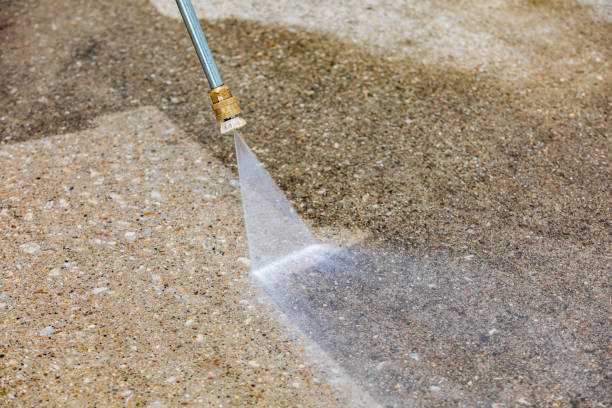 Animal Enclosure Cleaning in Twisp, WA